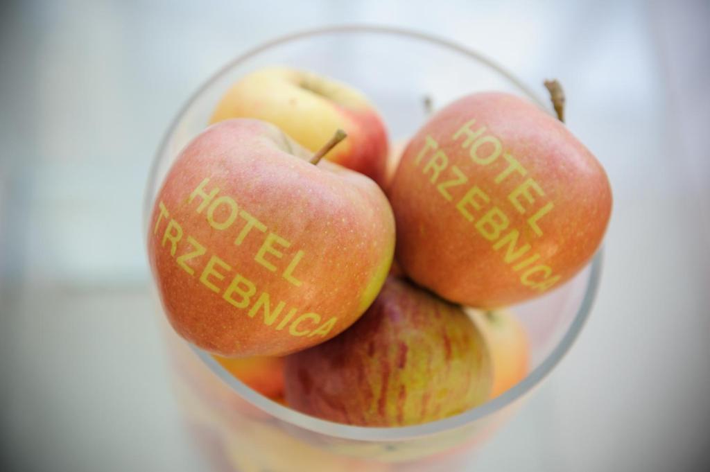 Hotel Trzebnica Ngoại thất bức ảnh